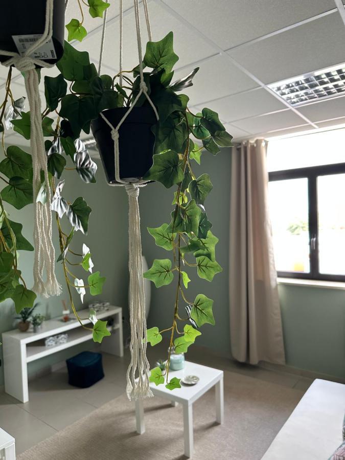 Botanical Suite Бари Екстериор снимка